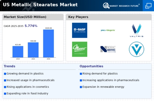 US Metallic Stearates Market Infographic