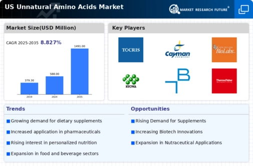 US Unnatural Amino Acids Market Infographic