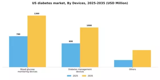 US Diabetes Market Segment Image 0