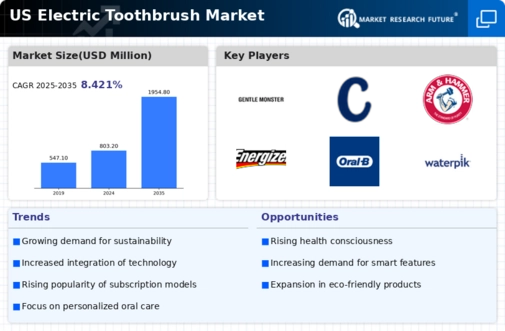 US Electric Toothbrush Market Infographic