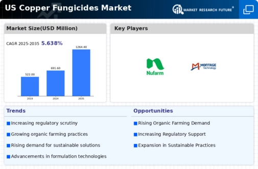 US Copper Fungicides Market Infographic