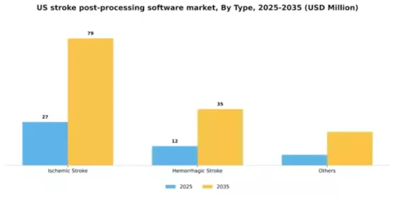 US Stroke Post Processing Software Market Segment Image 3