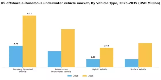 US Offshore Autonomous Underwater Vehicle Market Segment Image 3
