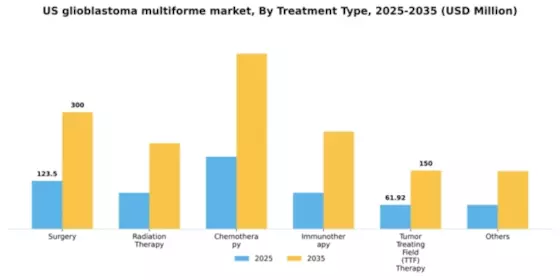 US Glioblastoma Multiforme Market Segment Image 1