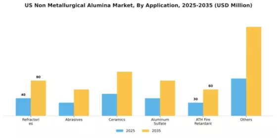 US Non Metallurgical Alumina Market Segment Image 0