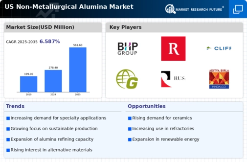 US Non Metallurgical Alumina Market Infographic
