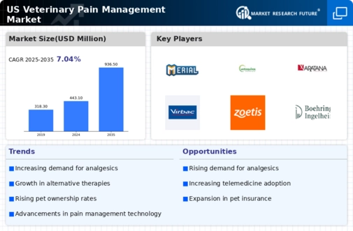 US Veterinary Pain Management Market Infographic