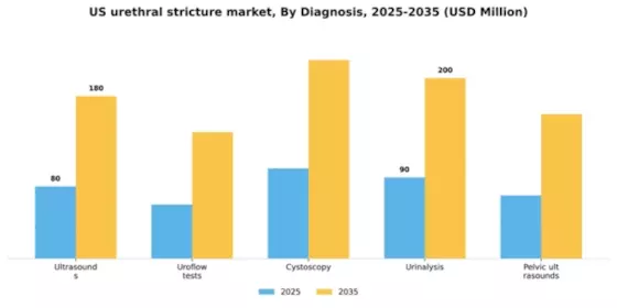 US Urethral Stricture Market Segment Image 0