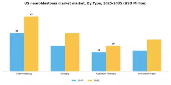 US Neuroblastoma Market Segment Image 3