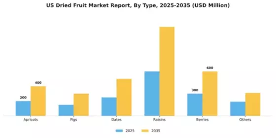 US Dried Fruit Market Segment Image 1