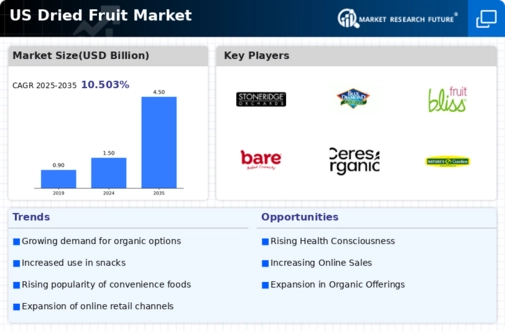 US Dried Fruit Market Infographic