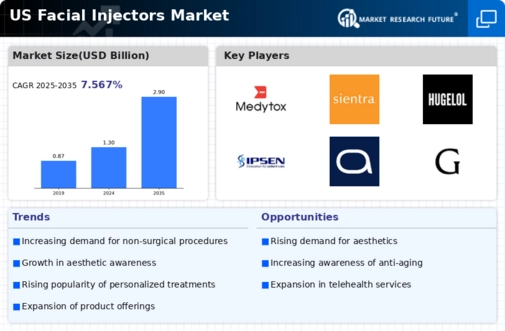 US Facial Injectors Market Infographic