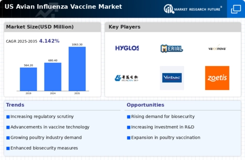 US Avian Influenza Vaccine Market Infographic