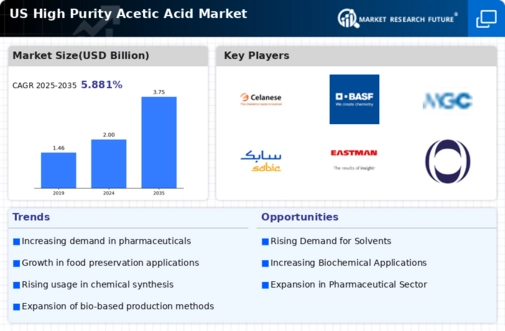 US High Purity Acetic Acid Market Infographic