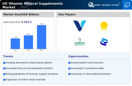 US Vitamin Mineral Supplements Market Infographic