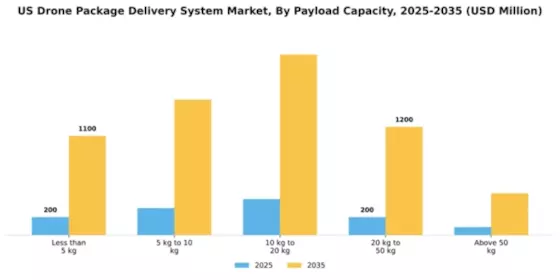 US Drone Package Delivery System Market Segment Image 3