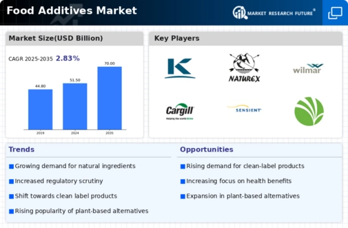 Food Additives Market Infographic