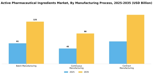 Active Pharmaceutical Ingredients Market Segment Image 1