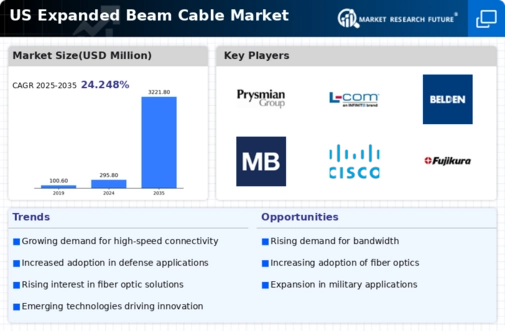 US Expanded Beam Cable Market Infographic