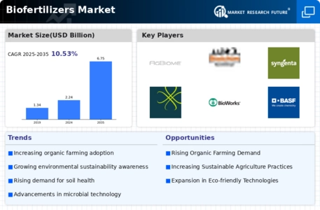 Bio-Fertilizers Market Infographic