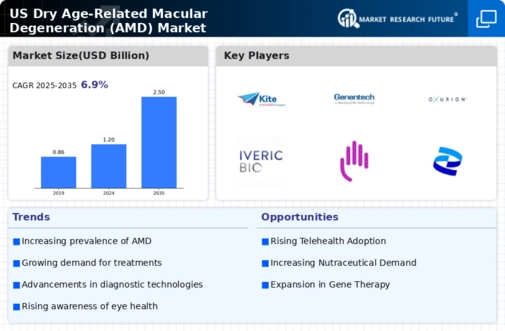 US Dry Age-Related Macular Degeneration AMD Market Infographic