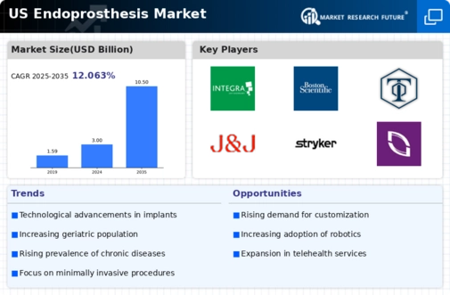 US Endoprosthesis Market Infographic