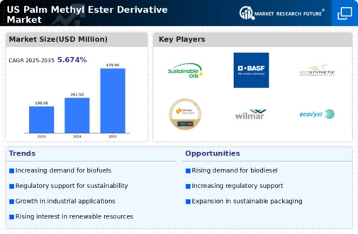 US Palm Methyl Ester Derivative Market Infographic