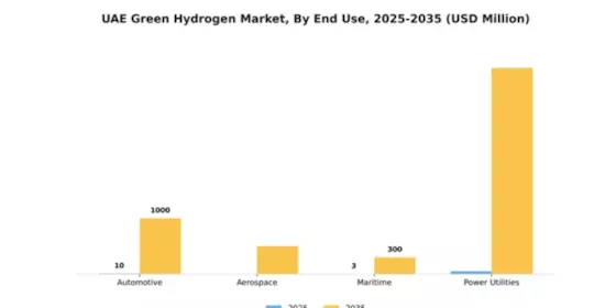 UAE Green Hydrogen Market Segment Image 2