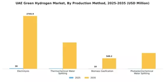 UAE Green Hydrogen Market Segment Image 3