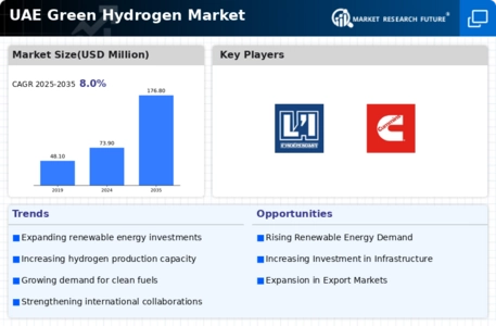 UAE Green Hydrogen Market Infographic