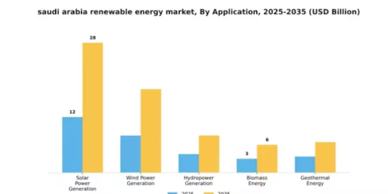 Saudi Arabia Renewable Energy Market Segment Image 0