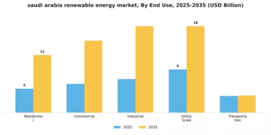 Saudi Arabia Renewable Energy Market Segment Image 1