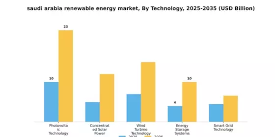 Saudi Arabia Renewable Energy Market Segment Image 2