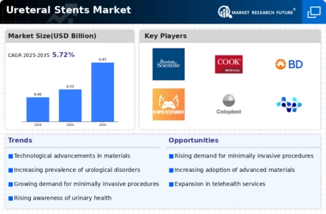Ureteral Stents Market Infographic