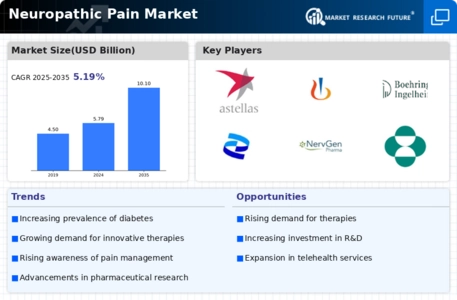 Neuropathic Pain Market Infographic