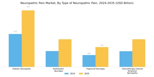 Neuropathic Pain Market Segment Image 0