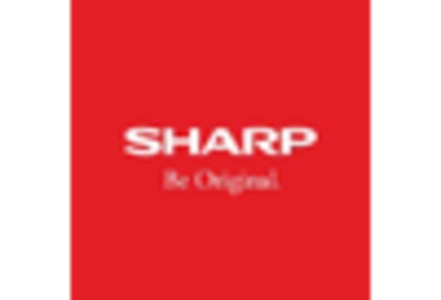 Infrared Optoelectronics Market key player