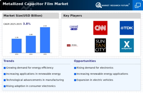 Metallized Capacitor Film Market Infographic