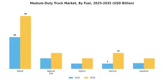 Medium Duty Truck Market Segment Image 0