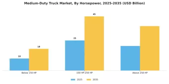 Medium Duty Truck Market Segment Image 1