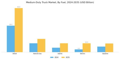 Medium Duty Truck Market Segment Image 0