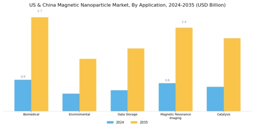 US China Magnetic Nanoparticle Market Segment Image 0