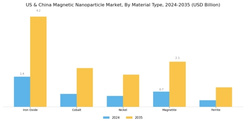US China Magnetic Nanoparticle Market Segment Image 2