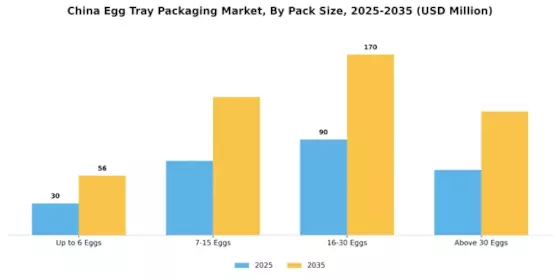 China Egg Tray Packaging Market Segment Image 3