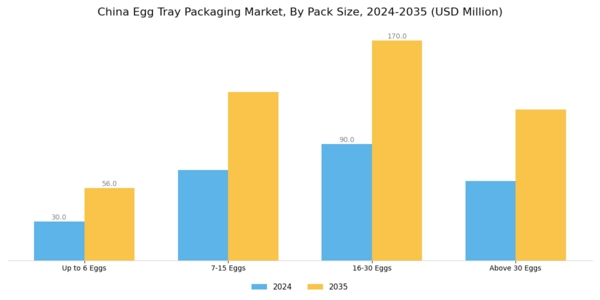 China Egg Tray Packaging Market Segment Image 3