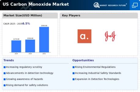 US Carbon Monoxide Market Infographic