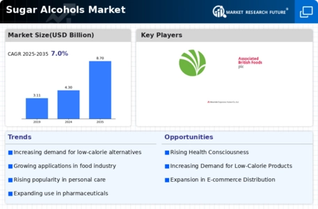 Sugar Alcohol Market Infographic