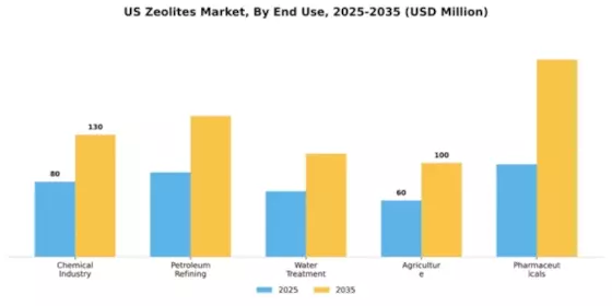 US Zeolite Market Segment Image 1