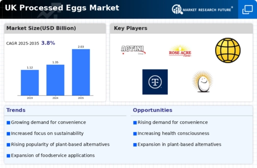 UK Processed Eggs Market Infographic
