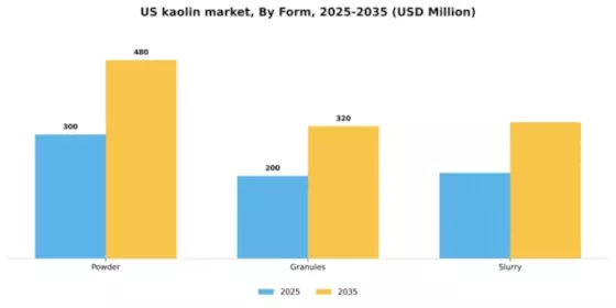 US Kaolin Market Segment Image 2